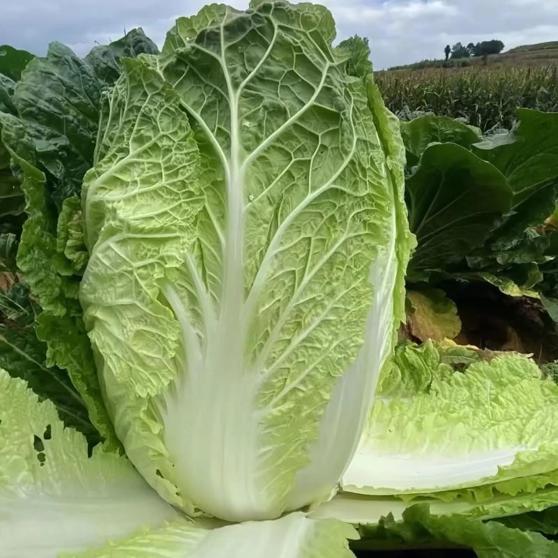 汉寿县余乐农产品批发配送经营部