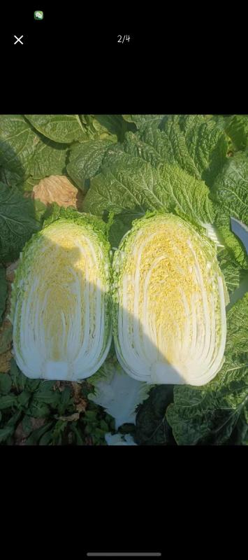 汉寿县余乐农产品批发配送经营部