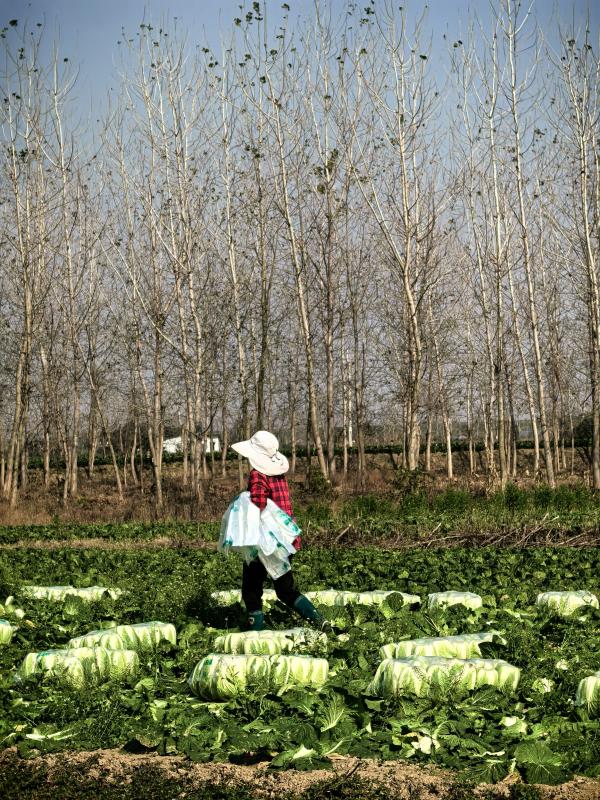 汉寿县余乐农产品批发配送经营部