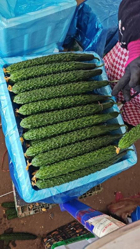 利民青春合作社