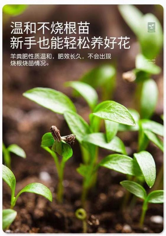 智通达(河北)农业开发有限公司