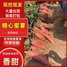 龙薯9号 红心 3两以上