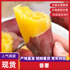 龙薯9号 红心 3两以上