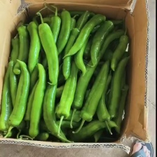 精品线椒，产地一手货源，对接市场商超平台电话询价更优惠，