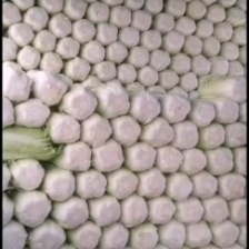 定州春季北京3号大白菜一手货源量大颜色绿形状匀称