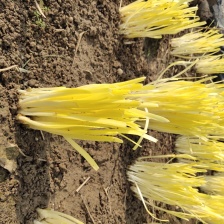 弥勒市辉展农业发展有限公司