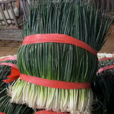 云南小红葱小香葱产地一手货源稳定供应欢迎咨询量大从优