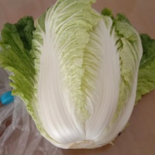 秋绿六O长白菜，视频看货，品质保证，精品货源，产地直发。