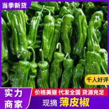 【放心购买】 山东螺丝椒 万亩基地 持续供应 对接市场电商