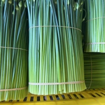 韭苔韭菜花 基地直发，货源充足，全国均可接单发货