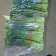 鑫禾月瓜果蔬菜专业合作社