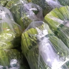 产地发货韭苔，货源充足，量大从优，欢迎选购