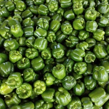 河南小米椒 基地直发  价格实惠 诚信经营 欢迎来电