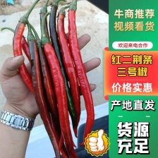 河南小米椒 基地直发  价格实惠 诚信经营 欢迎来电