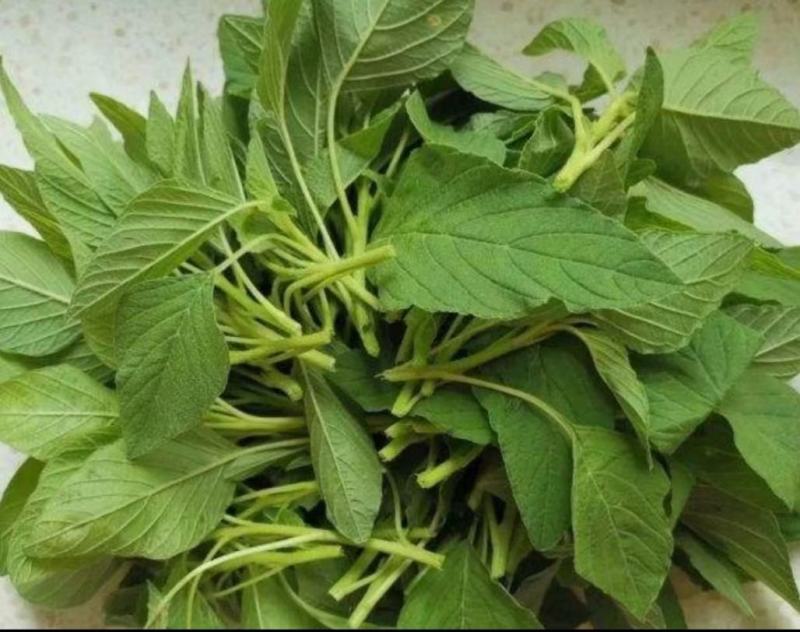 南阳好润食品有限公司