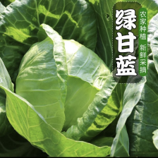 开封墨玉，京丰一号，扁包菜薄叶，体型好，走超市走市场走电商，