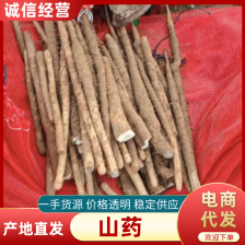 河北深州小白嘴白<font color=red>山药</font>，软糯香甜，口感