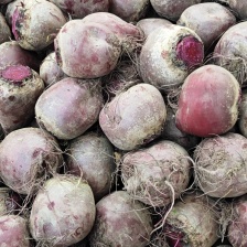 大量出售红甜菜粉