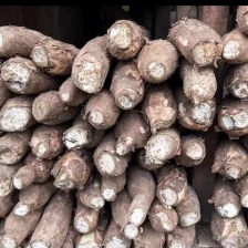 需要电话联系详细了解