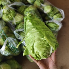 圆包菜，产地直发，人工采摘，包装整洁，质量保证，信誉商家