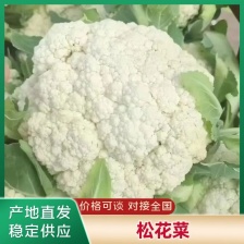 松花菜大量供应、产地直销、质量保证、支持各种包装