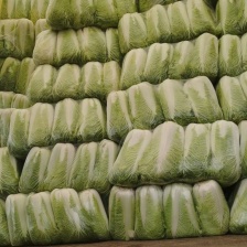 白菜，大量供应，品质保证，商超，加工厂货大量供应，，