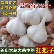 蒜米料