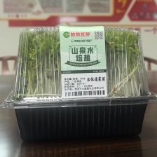 空心菜福建基地种植，产地一手货源，期待和更多老板合作