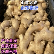 【推荐】大黄姜山东<font color=red>生姜</font> 电商/超市/