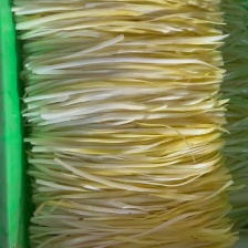 自产自销精品本地韭黄