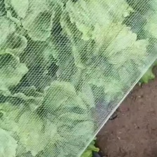 张家口宋先生蔬菜土豆代办