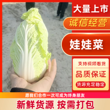 娃娃菜，小娃娃菜，货源充足，量大从优，欢迎咨询订购。