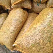 山药豆原产地规格齐  白玉山药山东山药豆对接电商市场批发