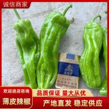 甘肃精品螺丝椒 货源充足 通货15公分以上欢迎咨询