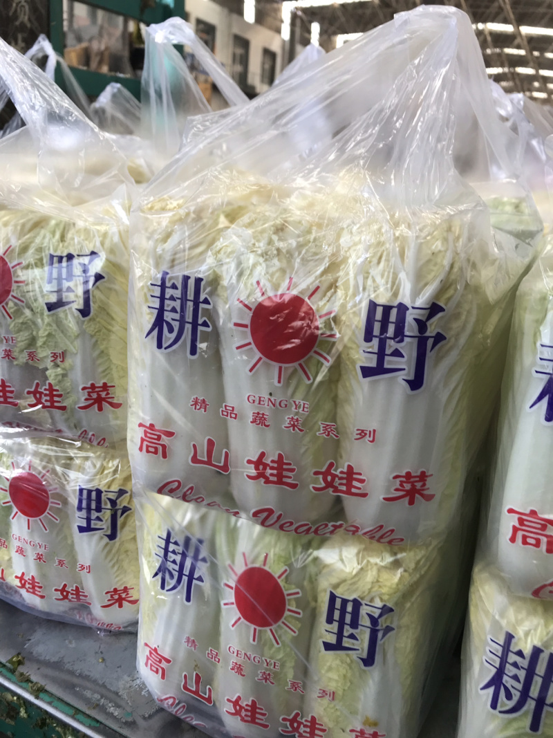 耕野娃娃菜 【对接超商】耕野精品娃娃菜、可泡沫、黄亚、