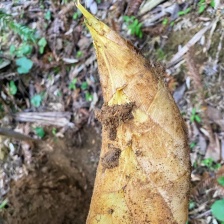 建瓯市禾垦农业有限公司