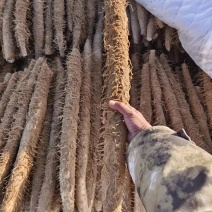 陕北榆林<font color=red>山药</font>白玉 紫药 铁棍 市场 