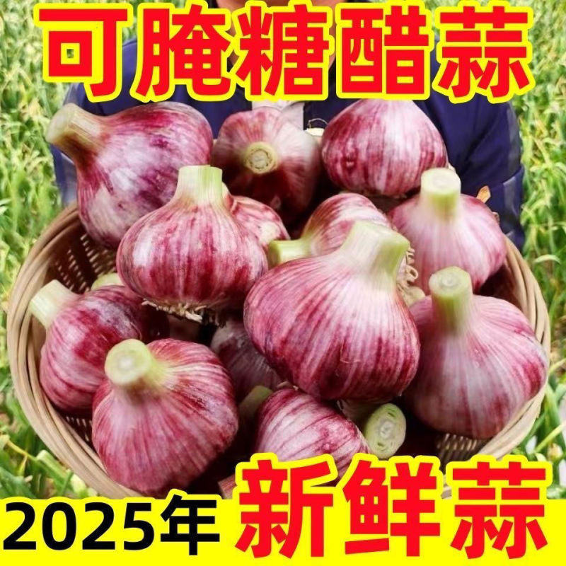 山东大蒜，产地直发全国，接【电商、出口、市场】货源充足