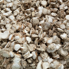 玉州区胜和蔬菜