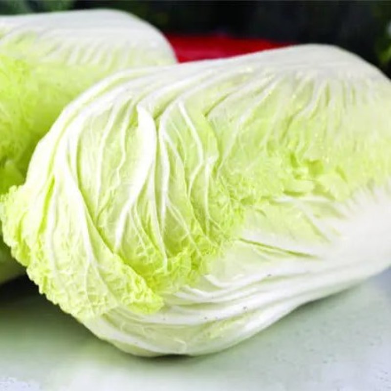 城固县精品大白菜，义和秋黄心的，一手货源。全国发货