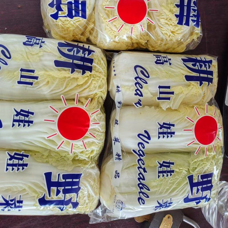 精品小娃娃菜 产地直发对接全国 量大从优质量保证欢迎咨询