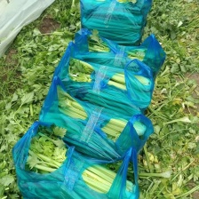 细棵芹菜单棵二三两，不空心，不起苔，可水洗加冰