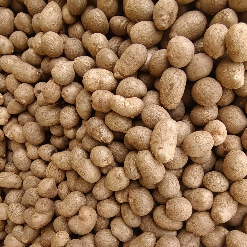 2025新<font color=red>山药</font>豆，电商和商超各种规格