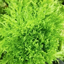 云南茂港农业有限公司