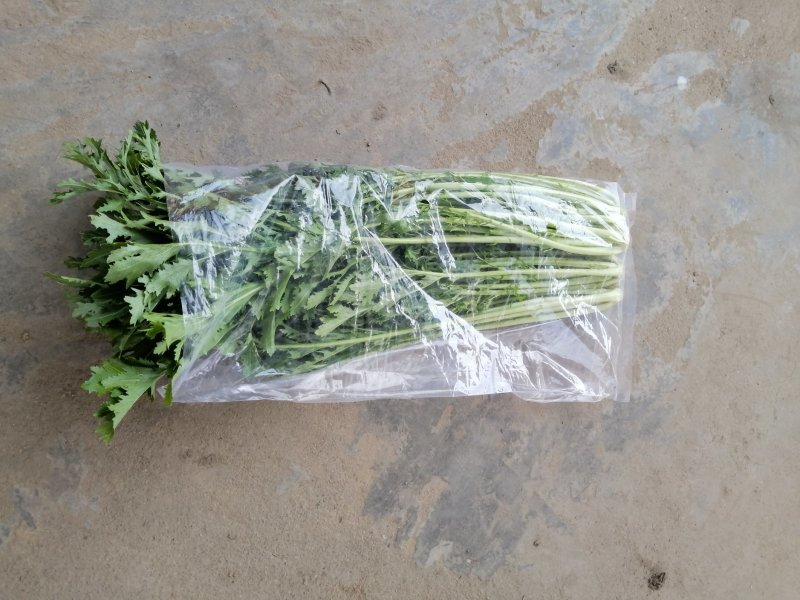 精品雪里红大量上市，无黄叶子无虫眼，市场货，酱菜场货都有