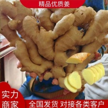 1产地批发大黄姜/小黄姜/<font color=red>生姜</font>/老姜