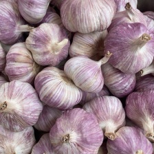 山东2025金乡大蒜/紫皮干蒜货源充足基地直供价格实惠