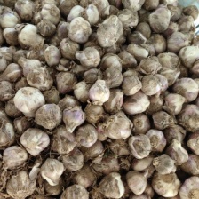 速冻蒜米！出口级！