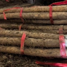 深泽县小白嘴<font color=red>山药</font>大条，曲扁，佛手，应