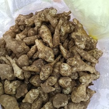 胰岛果中药材洋姜片价实冷背中药材大全批发零售